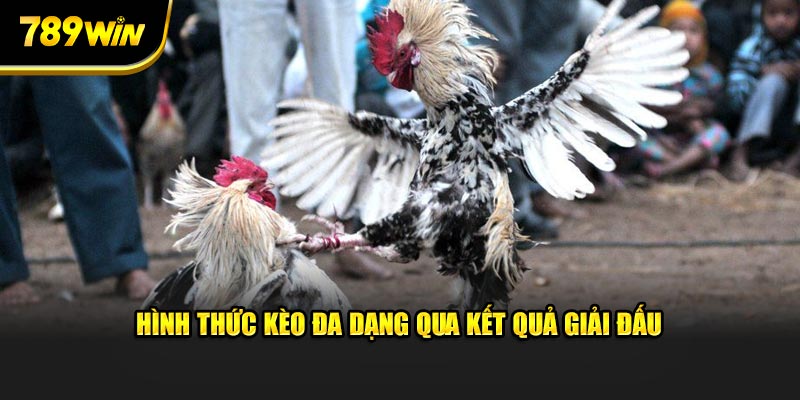 Hình thức kèo đa dạng qua kết quả giải đấu Hình thức kèo đa dạng qua kết quả giải đấu
